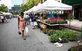 Туры в отель Sonesta White Plains Downtown