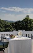 Туры в отель Tarrytown House Estate