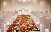 Туры в отель Hampton Inn & Suites Raleigh/Crabtree Valley