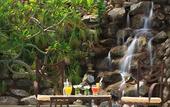 Туры в отель Jardin del Eden Boutique Hotel - Adults Only