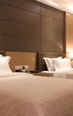 Туры в отель Dynasty Business Hotel