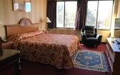 Туры в отель Amsterdam Hotel
