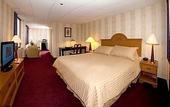 Туры в отель Amsterdam Hotel