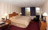 Туры в отель Amsterdam Hotel