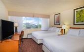 Туры в отель Holiday Inn Estes Park by IHG