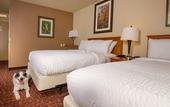Туры в отель Holiday Inn Estes Park by IHG