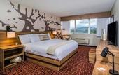 Туры в отель Holiday Inn Estes Park by IHG