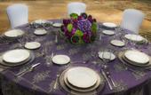 Туры в отель Holiday Inn Estes Park by IHG