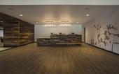 Туры в отель Holiday Inn Estes Park by IHG
