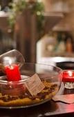 Туры в отель Andante Hotel Dresden