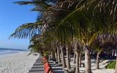Туры в отель Selina Tulum