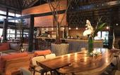Туры в отель Selina Tulum