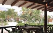 Туры в отель Selina Tulum