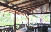 Туры в отель Selina Tulum