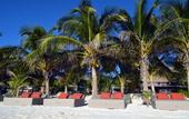 Туры в отель Selina Tulum