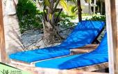 Туры в отель Selina Tulum