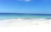 Туры в отель Selina Tulum