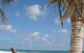Туры в отель Selina Tulum