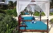 Туры в отель Selina Tulum