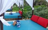 Туры в отель Selina Tulum