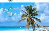 Туры в отель Selina Tulum