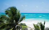 Туры в отель Selina Tulum