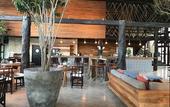 Туры в отель Selina Tulum
