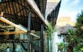 Туры в отель Selina Tulum