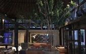 Туры в отель Selina Tulum