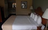 Туры в отель Vero Beach Inn & Suites I-95
