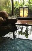 Туры в отель Hotel Dormy Inn Kagoshima Natural Hot Spring