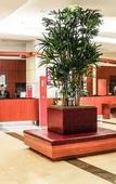 Туры в отель ibis Suwon Ambassador