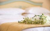 Туры в отель Hotel Margherita