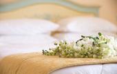 Туры в отель Hotel Margherita