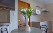 Туры в отель Earnslaw Lodge