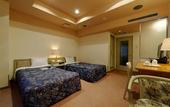 Туры в отель Hotel Machida Villa