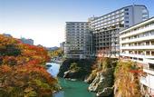 Туры в отель Kinugawa Plaza Hotel
