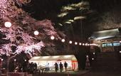 Туры в отель Kinugawa Plaza Hotel