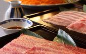 Туры в отель Kinugawa Plaza Hotel