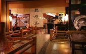 Туры в отель Kinugawa Plaza Hotel