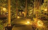 Туры в отель Kinugawa Plaza Hotel