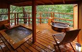 Туры в отель Kinugawa Plaza Hotel