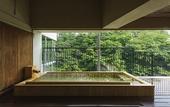 Туры в отель Kinugawa Plaza Hotel