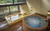 Туры в отель Kinugawa Plaza Hotel