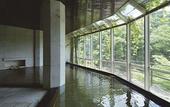 Туры в отель Kinugawa Plaza Hotel