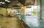 Туры в отель Kinugawa Plaza Hotel