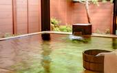 Туры в отель Kinugawa Plaza Hotel