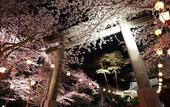 Туры в отель Kinugawa Plaza Hotel