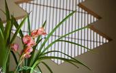 Туры в отель Hinodeya Ryokan