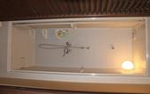 Туры в отель Iza Kamakura Guest House & Bar - Hostel